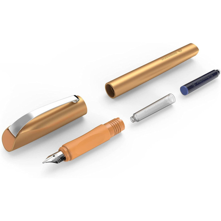 Stylo plume - Pointe moyenne - Bronze brillant - Ceod Shiny - Schneider