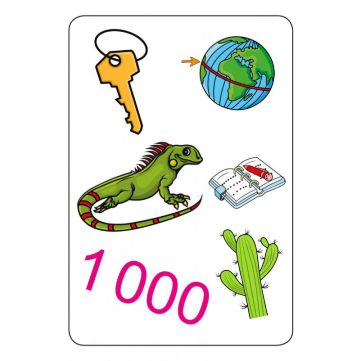 Jeu éducatif - Tam Tam Safari - Les mots irréguliers - Jeu de lecture - Dès 7 ans