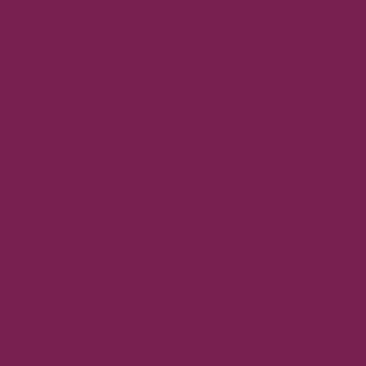 Bombe de peinture  - violet foncé -  Sinto