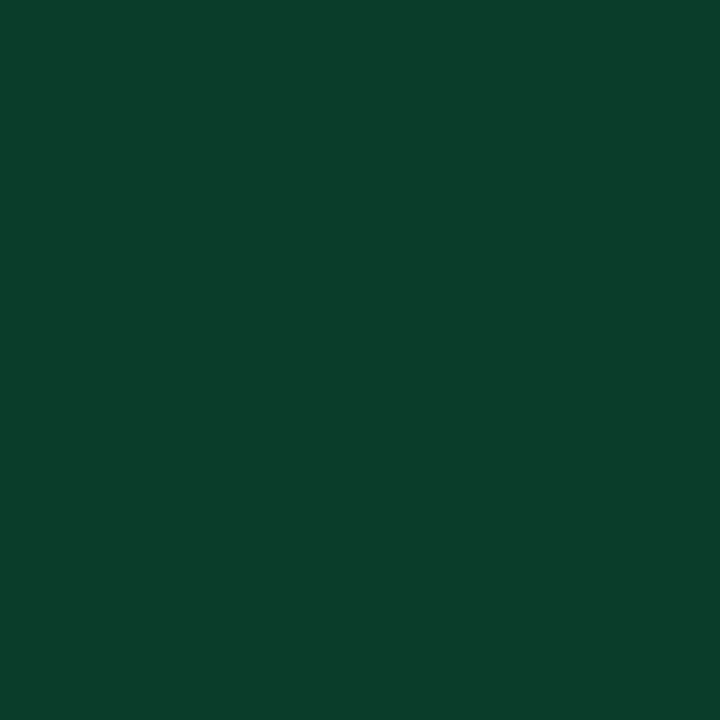 Bombe de peinture - Antirouille - Vert mousse - 3 en 1 - Apprêt - Peinture - Finition - Belton