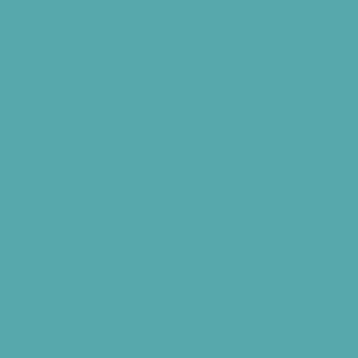 Valves pour pneu sans chambre à air - Paire de 2 - Alu - 44mm - Turquoise - Muc-Off