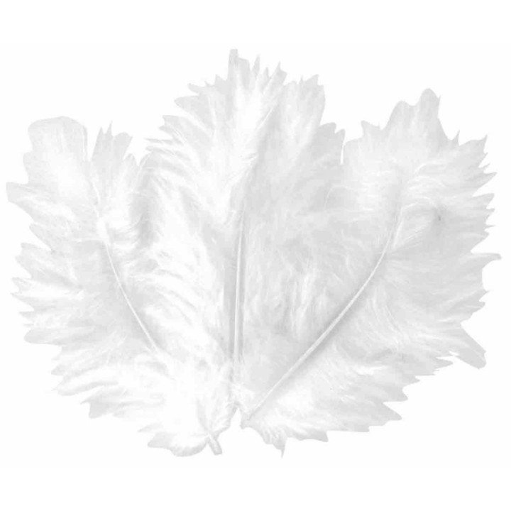 Plumes - Blanches - Naturelles - Assortiment de tailles - Loisirs créatifs - 50 pièces environ