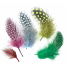 50 Plumes Multicolores 10 Cm - Ctop