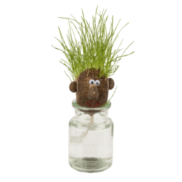Jeu enfant - Tête d'œuf en herbe - Jardinage - Idées cadeaux