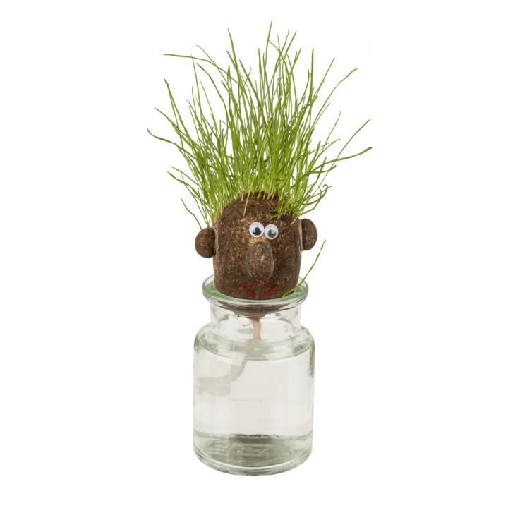 Jeu enfant - Tête d'œuf en herbe - Jardinage - Idées cadeaux