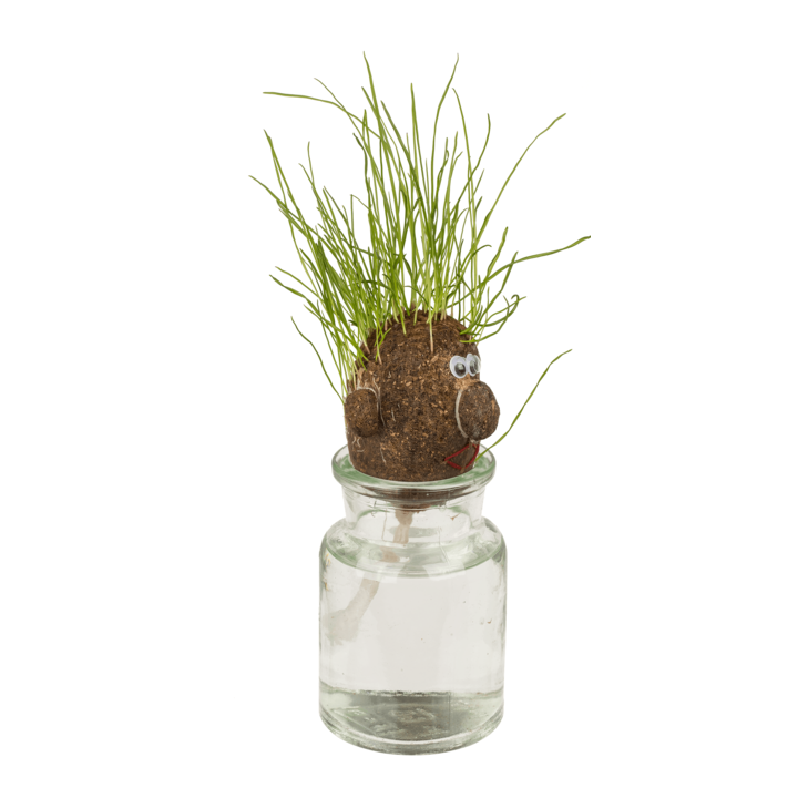 Jeu enfant - Tête d'œuf en herbe - Jardinage - Idées cadeaux
