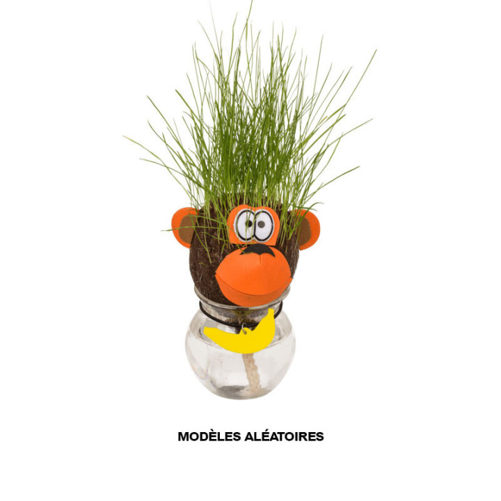 Jeu enfant - Tête d'animal en herbe - Jardinage - Idées cadeaux