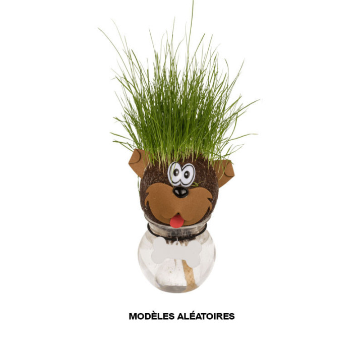 Jeu enfant - Tête d'animal en herbe - Jardinage - Idées cadeaux