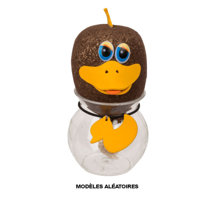 Jeu enfant - Tête d'animal en herbe - Jardinage - Idées cadeaux