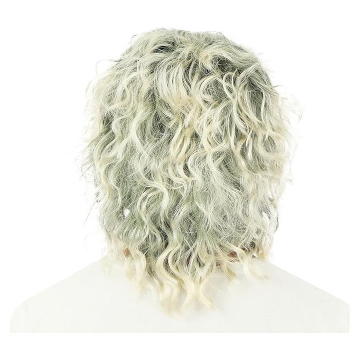 Perruque - Look rock'n roll - Star - Déguisement - Cheveux mi-long