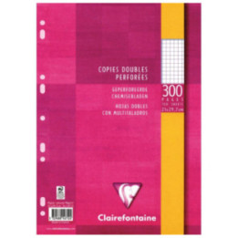 Copies doubles - Petits carreaux - Perforées - A4 - Paquet de 300 - Clairefontaine
