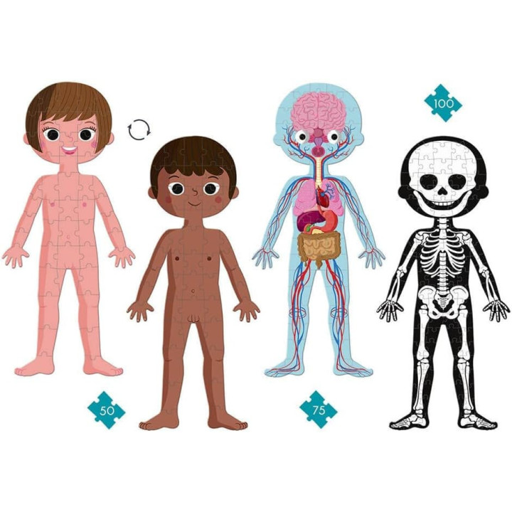 4 puzzles - Géant - Educatif - Le corps humain - 50,75 et 100 pièces - Dès 5 ans - Janod