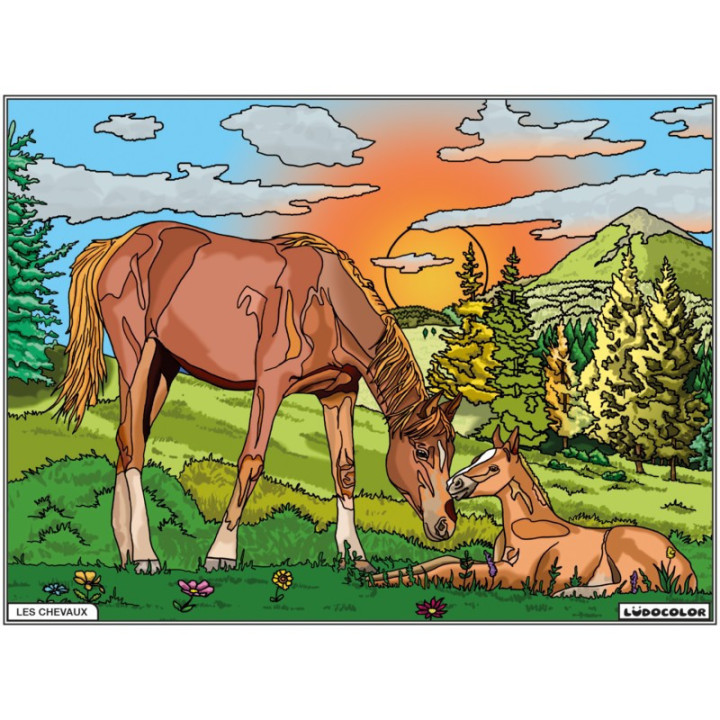 Coloriage - Chevaux - Tableau à colorier - Avec contours velours noir - Dès 3 ans