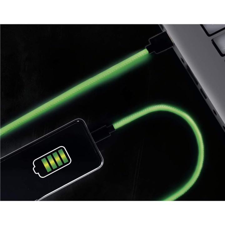 Câble de charge rapide - TYPE C et USB - 2m de longueur - Couleur fluo