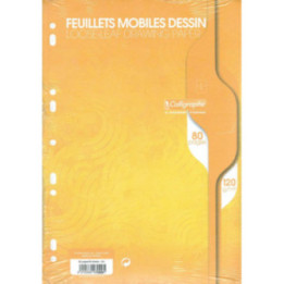 Copies simples - Blanche - Uni - Dessin - Perforées - A4 - 120G - Clairefontaine