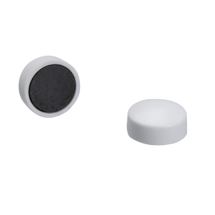 Lot De 10 Aimants Ronds Diamètre De 9 Mm - Blanc - Sign