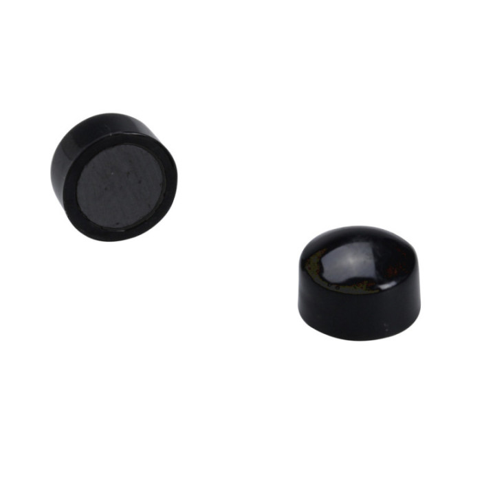 Lot De 10 Aimants Ronds Diamètre De 9 Mm - Noir - Sign