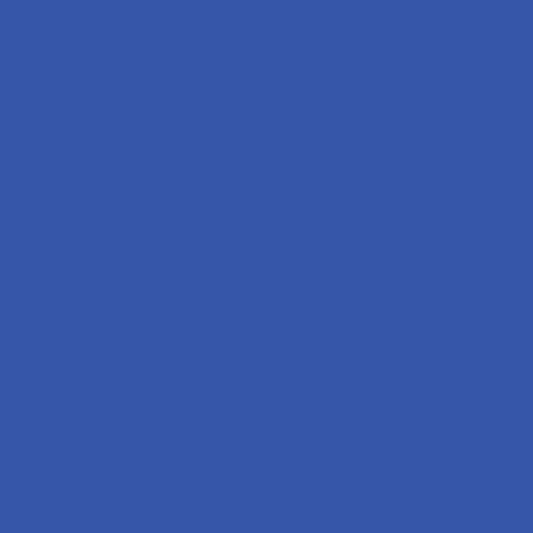 Recharges pour stylo roller - Shaeffer - Bleu - Pointe fine - Lot de 2 recharges