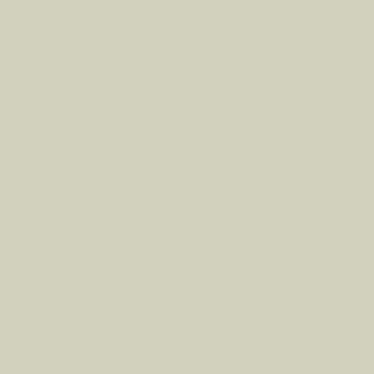 Ramette de papier - A4 - Gris perle - 120g - Impression - 250 feuilles - Clairefontaine Trophée