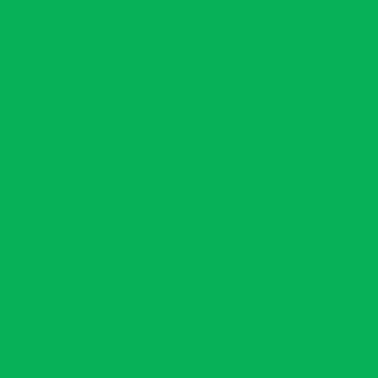 Ramette de papier - A4 - Vert billard - 160g - Impression - 250 feuilles - Clairefontaine Trophée