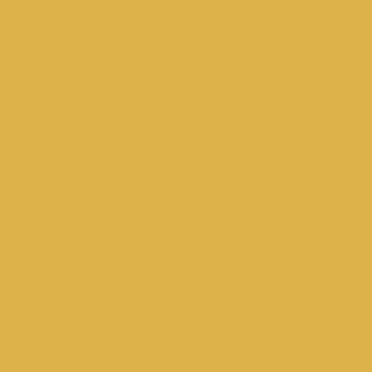 Ramette de papier - A4 - Bouton d'or - 80g - 500 feuilles - Clairefontaine Trophée