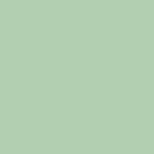 Ramette de papier - A4 - Vert clair - 80g - 500 feuilles - Clairefontaine Trophée