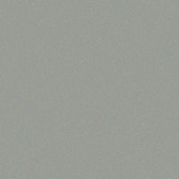 Bombe de peinture acrylique métallisée - Argent - 10-0121 - Duplicolor - 400 ml