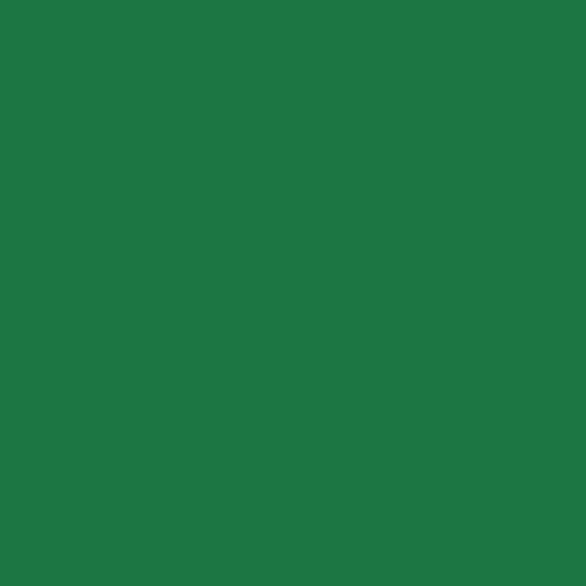 Stylo de retouche peinture pour carrosserie - Vert - 7-0360 - Duplicolor