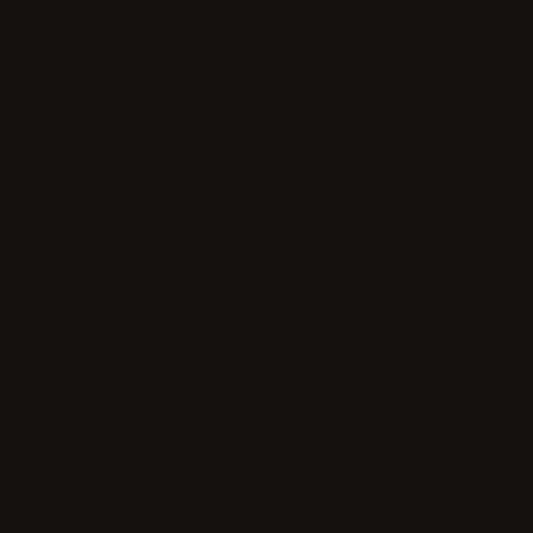 Bombe peinture rallye noir brillant - 400 ml - Dupli-Color
