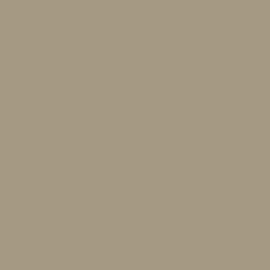 Bombe d'apprêt - Sous couche - Beige - Surfaces métalliques - SprayMax - 1K