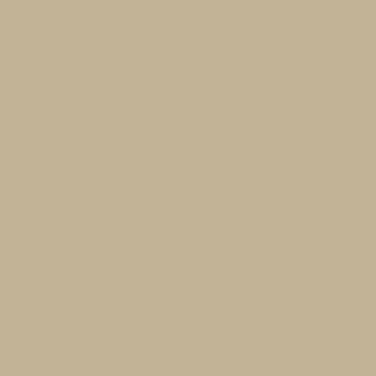 Bombe de peinture - Apprêt - Primaire - Beige - Anticorrosion - Auto K