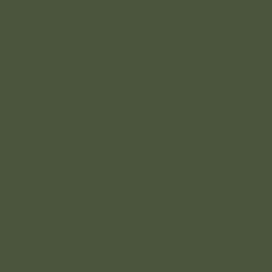 Bombe de peinture - Vert olive nato - RAL 6031 - Carrosserie - Auto - Moto - Auto K
