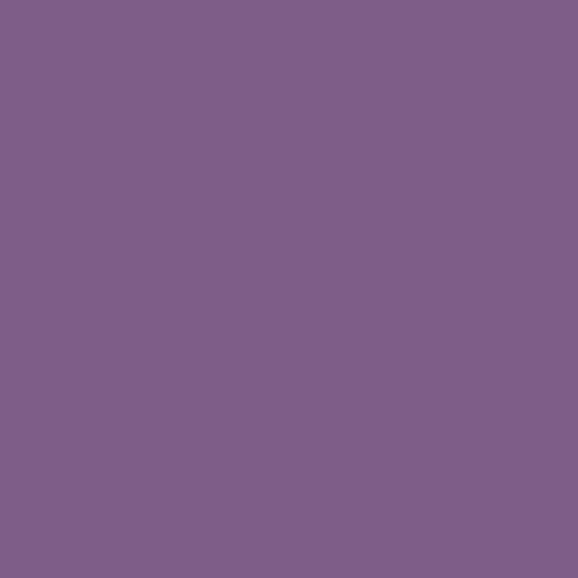 Recharge - Cartouche - Stylo à bille - GOLIATH - Caran d'Ache - Violet - Pointe M