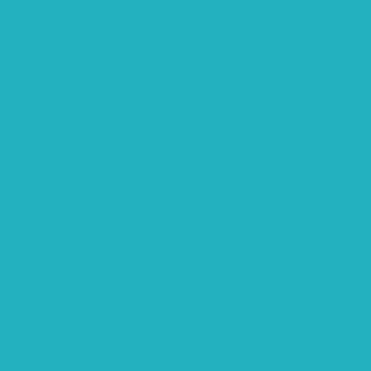Raphia - Turquoise - Emballage cadeau - Loisirs créatifs - DIY - 1m50 - Clairefontaine