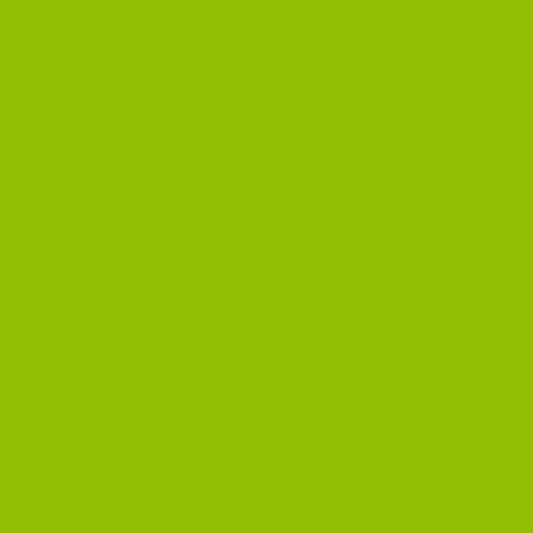 Raphia - Vert anis - Emballage cadeau - Loisirs créatifs - DIY - 1m50 - Clairefontaine
