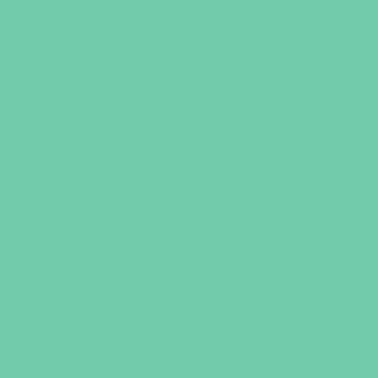 Porte-vue - 80 vues - Vert pastel - Polypro - A4 - Exacompta