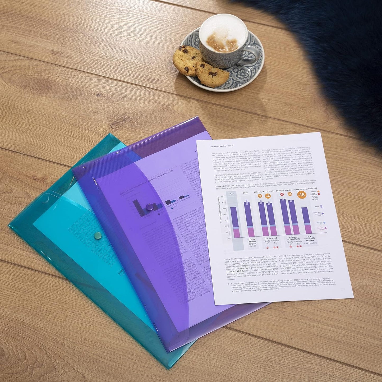 Pochettes - Bouton pression - A4+ - Semi-transparent - 40 unités - Rapesco