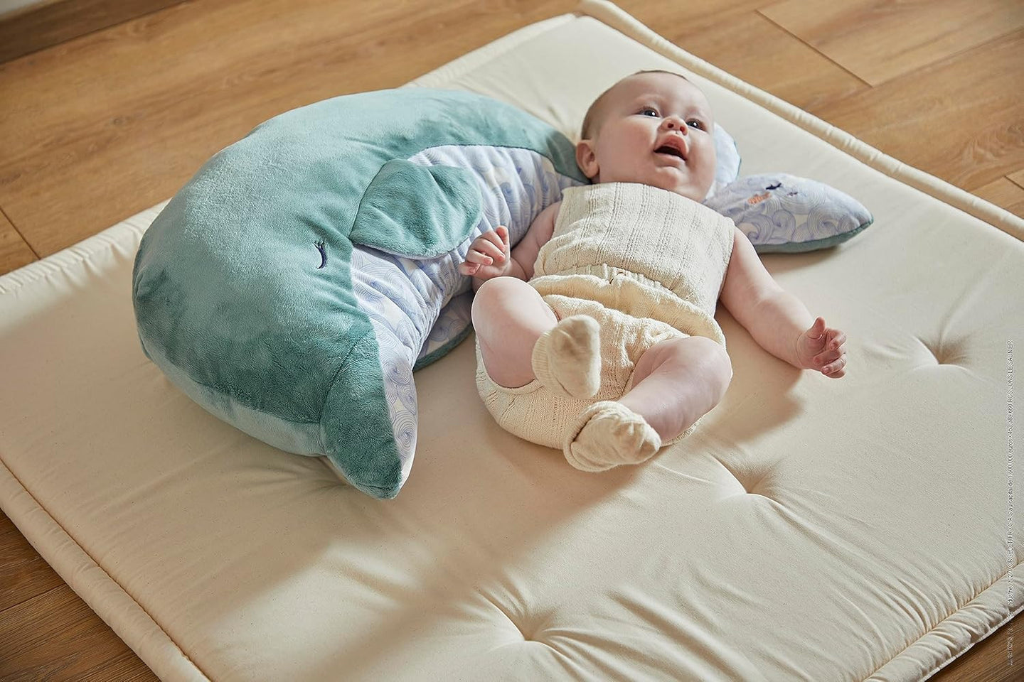 Peluche - Evolutive - Dauphin - Turquoise - 60cm - Apaisante, douce - Dès la naissance - Kaloo