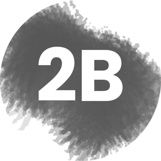 Recharges Porte-Mines 2B 0.5M Pilot