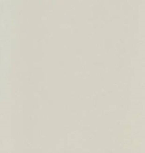 Ramette de papier - A4 - Gris acier - 210g - Impression - 250 feuilles - Clairefontaine Trophée