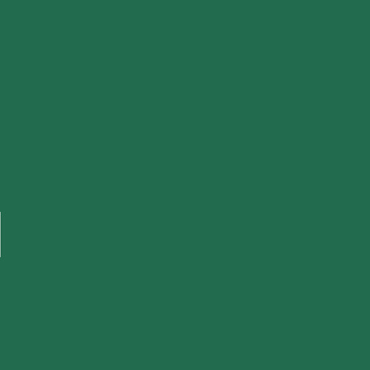 Ramette de papier - A4 - Vert sapin - 210g - Impression - 250 feuilles - Clairefontaine Trophée