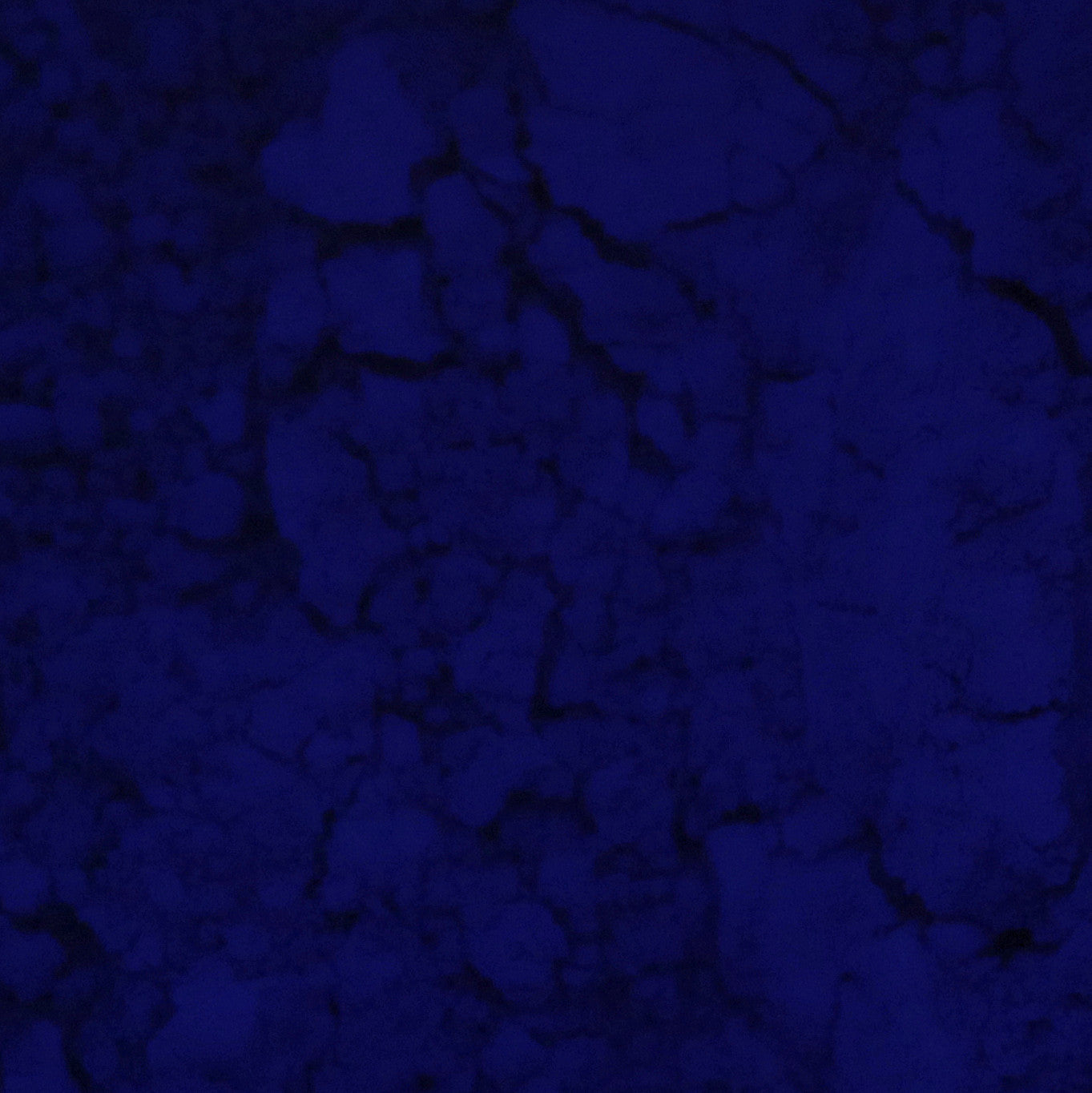 Pigment en poudre - Bleu phtalo (teinte rouge) - 10 - Blockx - Pot de 100g