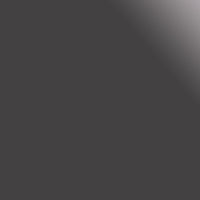 Pinceau pré-rempli - Ink Brush - Argent Irisé - Sennelier