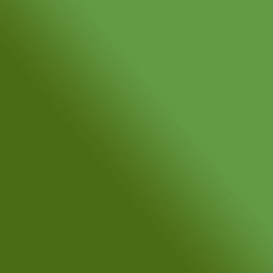 Pinceau pré-rempli - Ink Brush  - Vert Clair Irisé - Sennelier