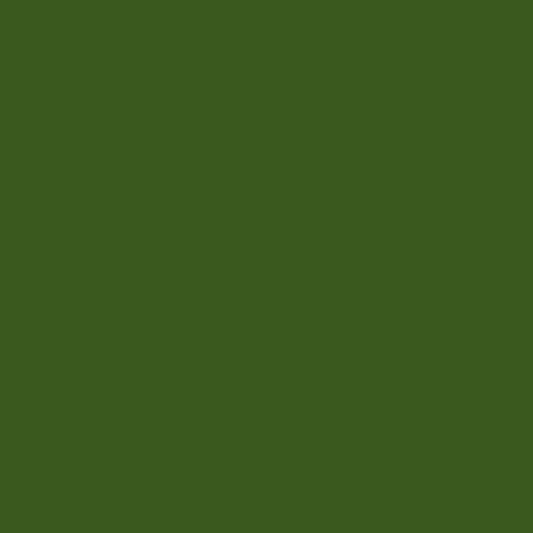 Pinceau pré-rempli - Ink Brush - Vert Olive - Sennelier