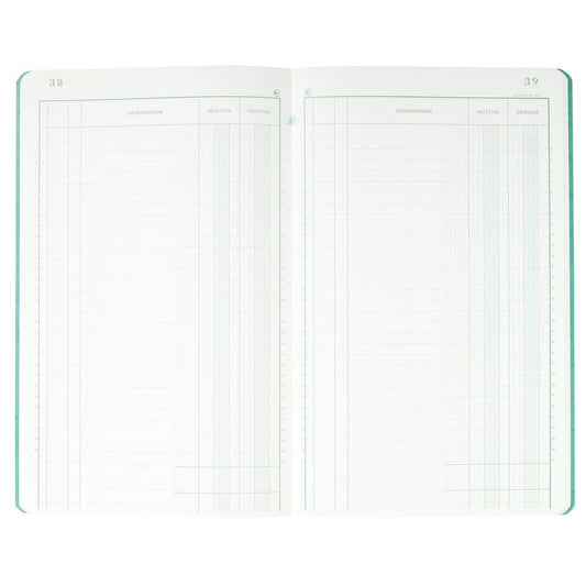 Registre - Recettes dépenses - Piqûre - 80 Pages - 32x19,5cm - Exacompta - 7730E