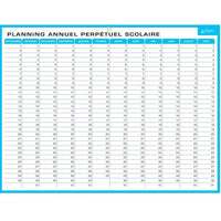Planning Perpétuel Effaçable Hebdomadaire Et Annuel Scolaire 42X32Cm