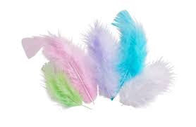 Plumes - Assortiment couleurs pastels - 10 cm - 50 pièces