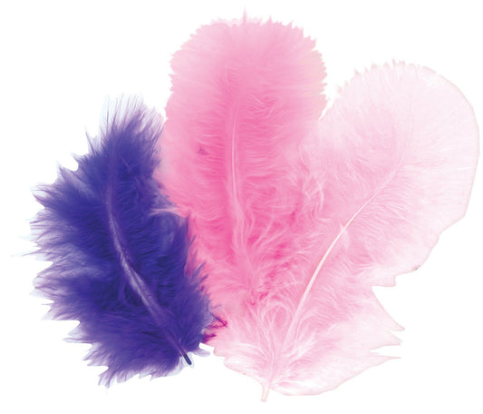 Plumes naturelles - Camaïeu violet - 10 cm - 50 pièces