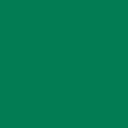 Porte-vues - 80 vues - 40 pochettes - Vert - A4 - Souple - Exacompta